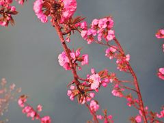 -西北湖绿化广场