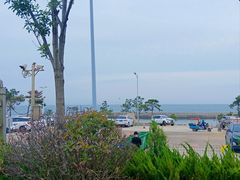 -老太太海鲜城(森林公园任家台店)
