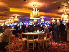 -拉斯维加斯永利酒店