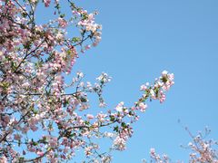 -莫愁湖公园