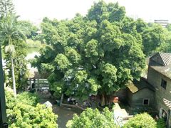 -东莞市可园博物馆