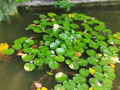 -南通中心濠河风景区圆融广场诺富特酒店