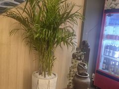 -桃夭日式料理(国信店)