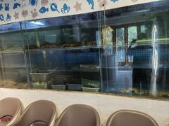 -碗中海·蒸汽海鲜·桑拿鸡(岭南天地店)