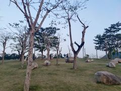 -白石龙音乐公园