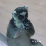 公主在逃城堡