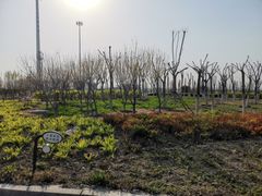 -东疆建设开发纪念公园