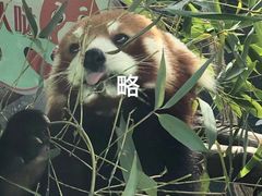 -常州淹城野生动物世界