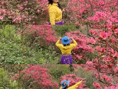 -木兰云雾山