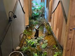 -邈墨茶馆(凤起路店)