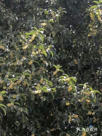 从杭州名菜的传世风味，到江南甜品复兴；从对江浙非物质