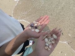 -三亚西岛海洋文化旅游区