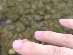 -百里山水画廊