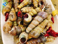 -贞姨美食·老字号海鲜大排档