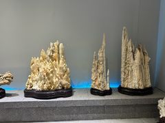 -游龙石文化科普馆