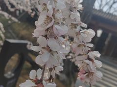 -碑林公园