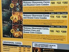 -怀托摩萤火虫洞