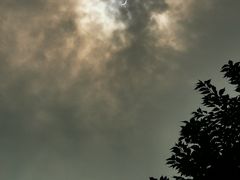 -重庆市江北嘴中央商务区中央公园