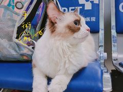 -酷宠动物医院(天通西苑店)