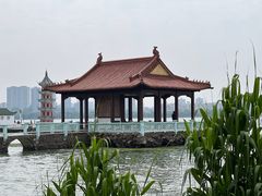 -无锡蠡湖国家湿地公园-蠡园