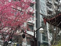 -乌山风景区