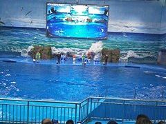 -多彩贵州城极地海洋世界