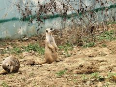 -无锡动物园·太湖欢乐园