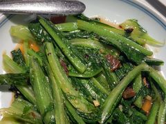 -大榕树下顺德菜(融创茂店)