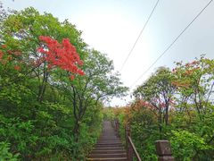 -大围山国家森林公园