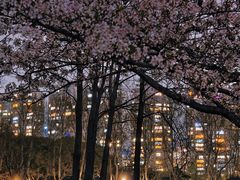 -The BREW·酿餐厅(浦东嘉里大酒店)