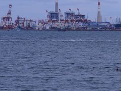 -悦海公园