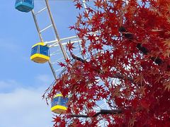 -南昌之星游乐场