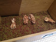 -炖物24章·顺时轻养茶(杭州保利时光里店)