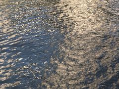 -苏州河梦清园环保主题公园