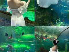 -大明湖海底世界