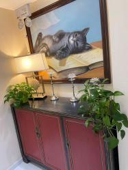 -咪咪比基尼脱毛专业店