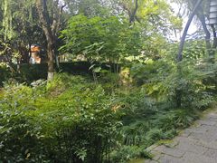 -印象西湖·最忆是杭州实景演出