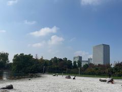 -大宁公园