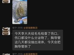 -美联众合动物医院·24h转诊中心
