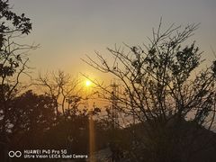 -紫金山山顶公园