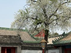 -北京国子监胡同