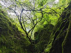 -刘伯温故里景区百丈漈