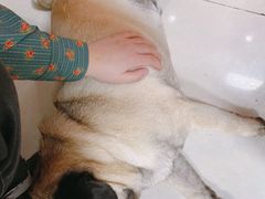 -双冰面馆(茶南店)