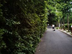 -斯多格书乡(北京大学畅春园店)