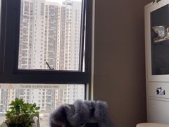 -万达广场(无锡滨湖店)