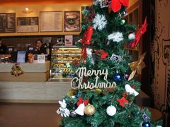 -Gloria Jean's Coffees