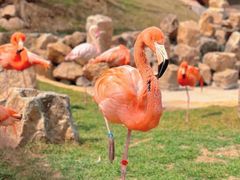 -沈阳森林动物园