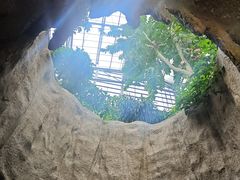 -南山植物园