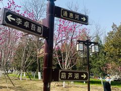 -西海子公园