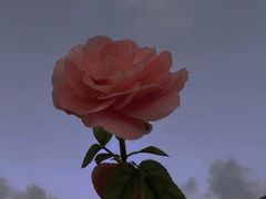 -仟吉(星汇维港店)